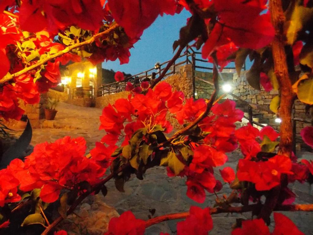 Hostal Casale Del Golfo Castellammare del Golfo Exterior foto